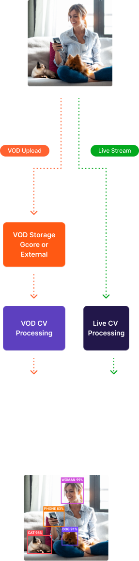 Usage Guides for Live & VOD